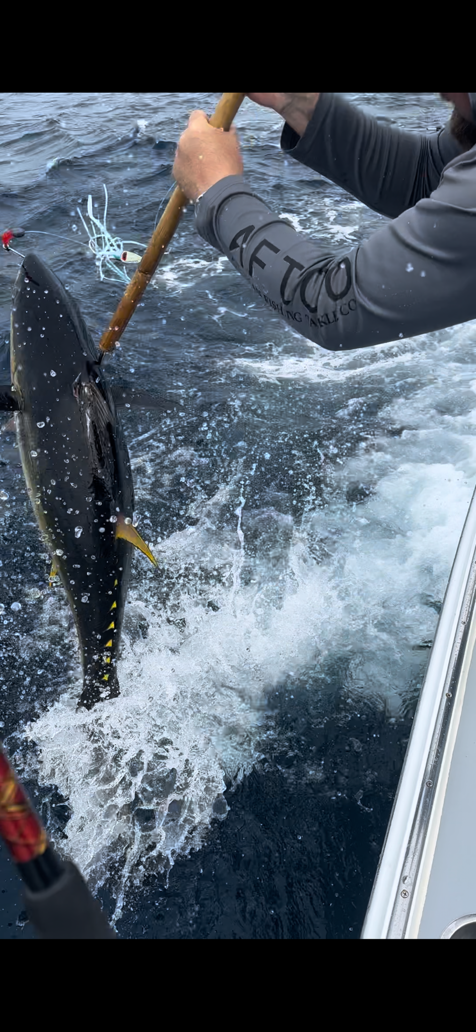 Gaff Hook Calcutta Bamboo Gaffs Tico Tackle Bamboo Sticks Feet