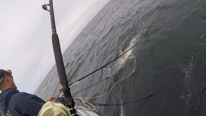 L.T. Marine Commercial Tuna Swim Hook