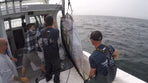 L.T. Marine Commercial Tuna Swim Hook